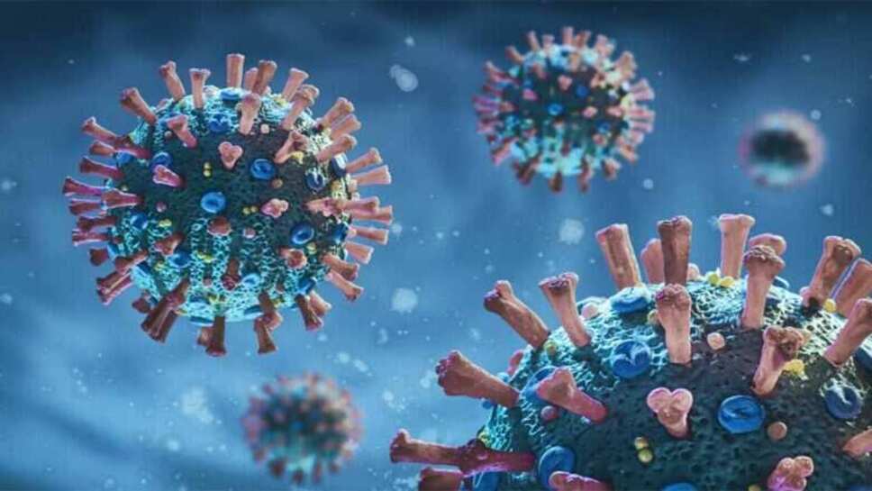 2 new patients of Corona found in Bhopal, 120 active cases of Corona in the state